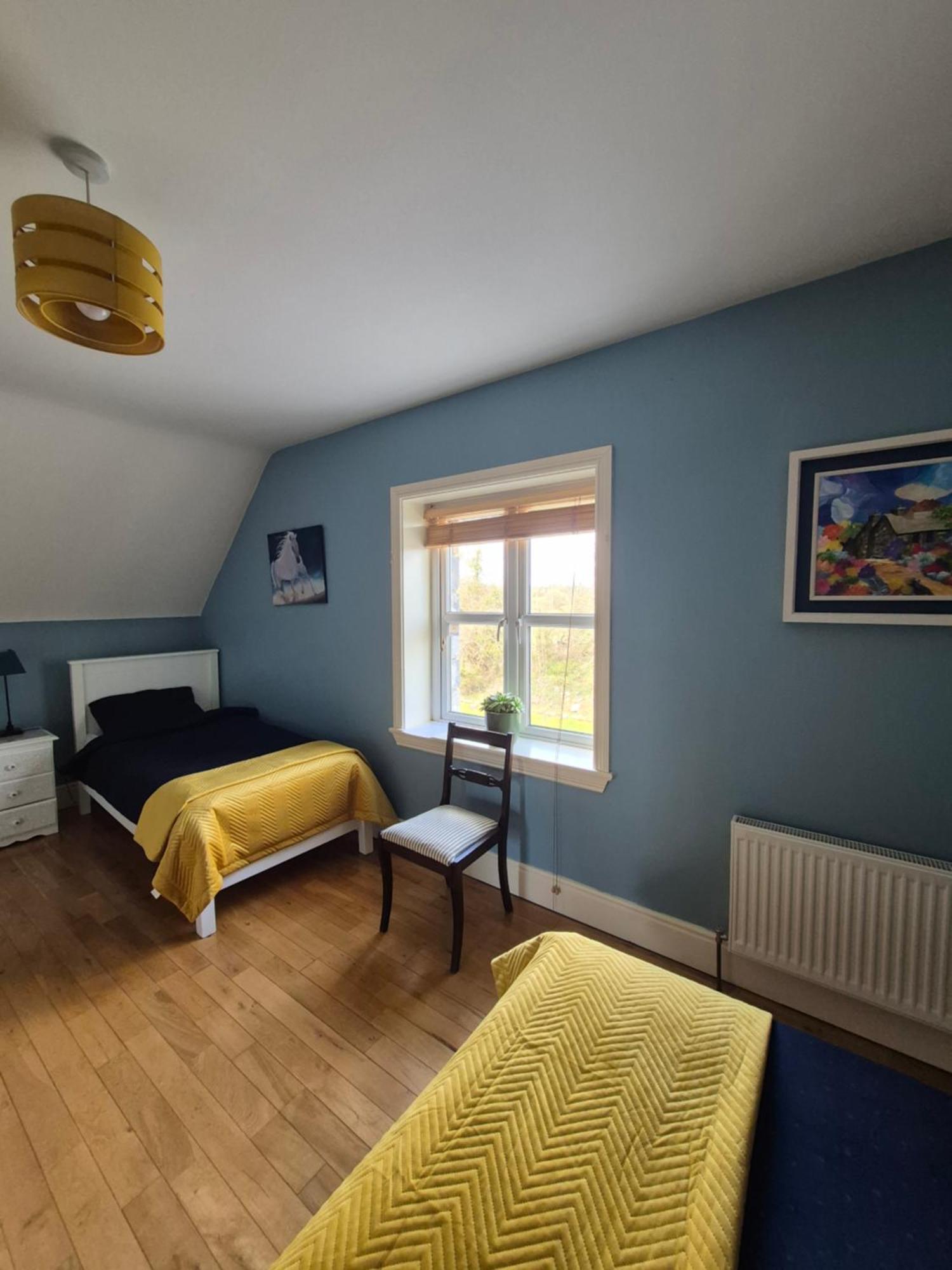 Ballinasloe Guest House In The Heart Of The Country Zewnętrze zdjęcie