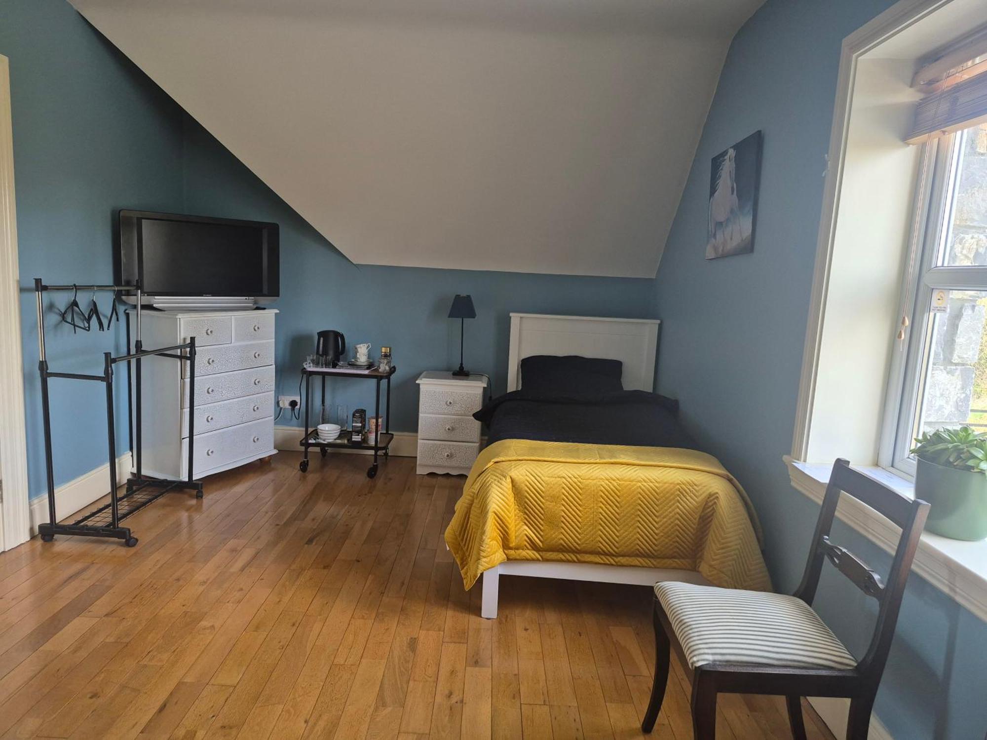 Ballinasloe Guest House In The Heart Of The Country Zewnętrze zdjęcie